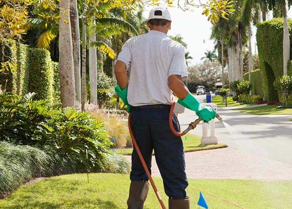 About Smyrna NY Pest Control